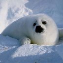 � � ������ ������ ����������! �� ������� �������