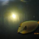 ���� ������, ���� - ��������� 2 ������� 2010 � ������ ���������� ���