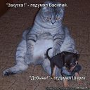 ���� ��������, ���� - ��������� 2 ������ 2013 � ������ ���� ����������