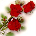 ���� Svetlaych&k(����� ����), ������, 51 ��� - ��������� 7 ���� 2012 � ������ �������