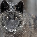 ���� �����, �����-�������� - ��������� 4 �������� 2012 � ������ �� ���� � ���� ������� ���.�