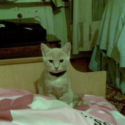 ���� ���������, ���������, 24 ���� - ��������� 2 ������� 2010