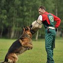 ��������� �� ������� ���� ����������