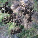 ���� ���������, ���������� - ��������� 23 ������� 2010 � ������ �������������Ż