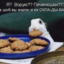 ���� ����, �����, 43 ���� - ��������� 4 ������ 2010