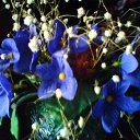  Irixa, , 57  -  30  2009   