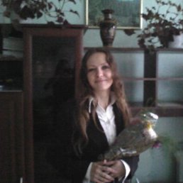 Z, ������, 44 ����