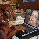 ���� �����, ������, 74 ���� - ��������� 10 ������ 2010 � ������ ���������...�