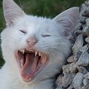 ���� ���������, ������ - ��������� 26 ������ 2010 � ������ ���� �����