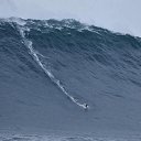 ���� ��������, ������, 44 ���� - ��������� 9 ���� 2013 � ������ �������