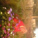 ���� �����, ����, 77 ��� - ��������� 28 �������� 2012