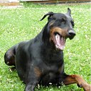 ���� ������, ������, 45 ��� - ��������� 6 ������ 2012 � ������ ���� ����������