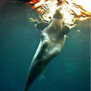 ���� ����, �����, 41 ��� - ��������� 27 ������ 2012 � ������ ���� ����������