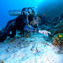 ���� ������, ������ - ��������� 18 ������ 2011 � ������ ���� ����������