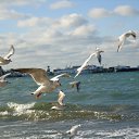 ���� ������? �� �� ��! �� ������� �������