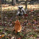 ���� ����� - ���������� ��������!!!, �����������, 56 ��� - ��������� 31 ������� 2009 � ������ �����Ȼ