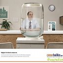 ���� �������, �������, 41 ��� - ��������� 2 ������� 2012 � ������ �Primavera�