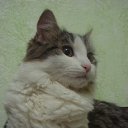 ���� ����, �������� ������ - ��������� 8 �������� 2010 � ������ ���� �����