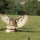 ���� Maryana, ������ - ��������� 9 ������ 2010 � ������ ��������� "������"�