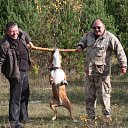 ���� ��������, ������ �����, 51 ��� - ��������� 25 ������ 2010