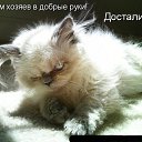 ���� ����, ������ - ��������� 25 ������� 2009 � ������ ������� ���������� �����