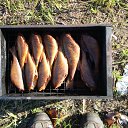 ���� ������, �����-���������, 47 ��� - ��������� 8 ����� 2010 � ������ �������