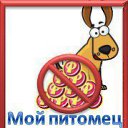 ���� ������, ������, 43 ���� - ��������� 1 ���� 2011