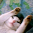 ������ �� ������� ���� ����Ȼ