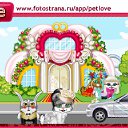  , , 36  -  5  2011   PetLove