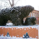 ���� ����, ������������, 55 ��� - ��������� 8 ������� 2012 � ������ �PetLove�