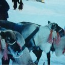 ���� ������, ���������� ����� - ��������� 16 ����� 2010 � ������ �����