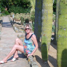  ���� �������� � �������