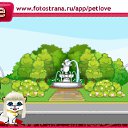���� ����, ������, 25 ��� - ��������� 17 �������� 2010 � ������ �PetLove�
