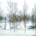 ���� ��������, ������� ��������, 23 ���� - ��������� 23 ������ 2011 � ������ �������