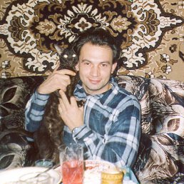 ����, �������, 54 ����