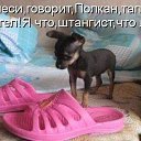 ���� ���, ������, 51 ��� - ��������� 25 ��� 2013 � ������ ���� ����������