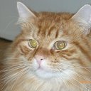 ���� �������, ������, 65 ��� - ��������� 25 ������� 2011 � ������ �������