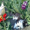 ��� ��� ����� �� ������� ������Ż