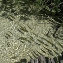 ���� Toryst, �����-���������, 53 ���� - ��������� 21 ����� 2010 � ������ ���������� ��� (���������� ����� ���������� � ��������)�