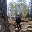  Al., , 51  -  31  2011    