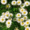 ���� Anna, �������, 45 ��� - ��������� 6 ���� 2011 � ������ ��������