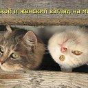 ���� ����������, �������, 38 ��� - ��������� 10 ������� 2013 � ������ ���� ����������