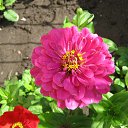 ���� V�������, ��������� - ��������� 21 ������ 2011 � ������ ���������.�