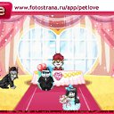 ���� ������ �-70., ������� - ��������� 17 ������� 2011 � ������ �PetLove�