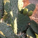 ����� ����� ������� �������! �� ������� ������� ���� �������