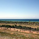 ���� ����������, ����, 75 ��� - ��������� 17 ������ 2012 � ������ �������