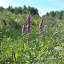 ���� ������, ��������� - ��������� 21 ������� 2010 � ������ ����, ����!!!�