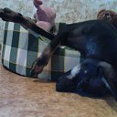 ������ ��� �����)))) �� ������� ���� ����������