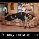 ���� ����, ��������� - ��������� 17 ������� 2012 � ������ �������