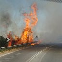 ���� �����, ��������, 50 ��� - ��������� 17 ������ 2013 � ������ ���� ����������